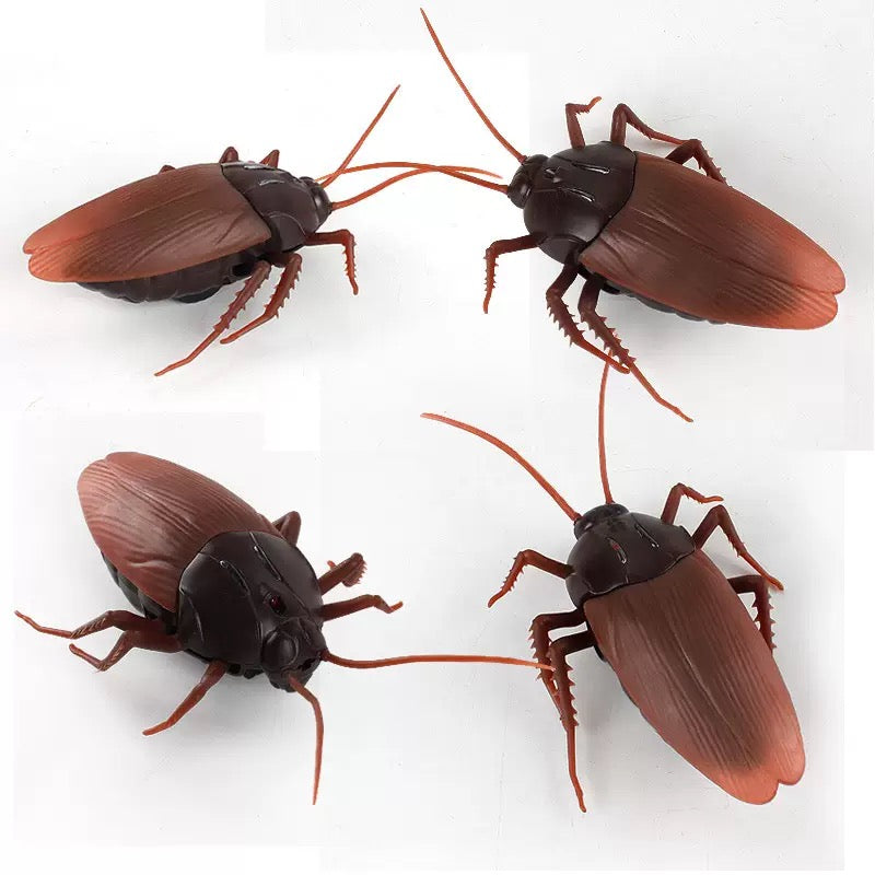 Infrared RC Cockroach Toy