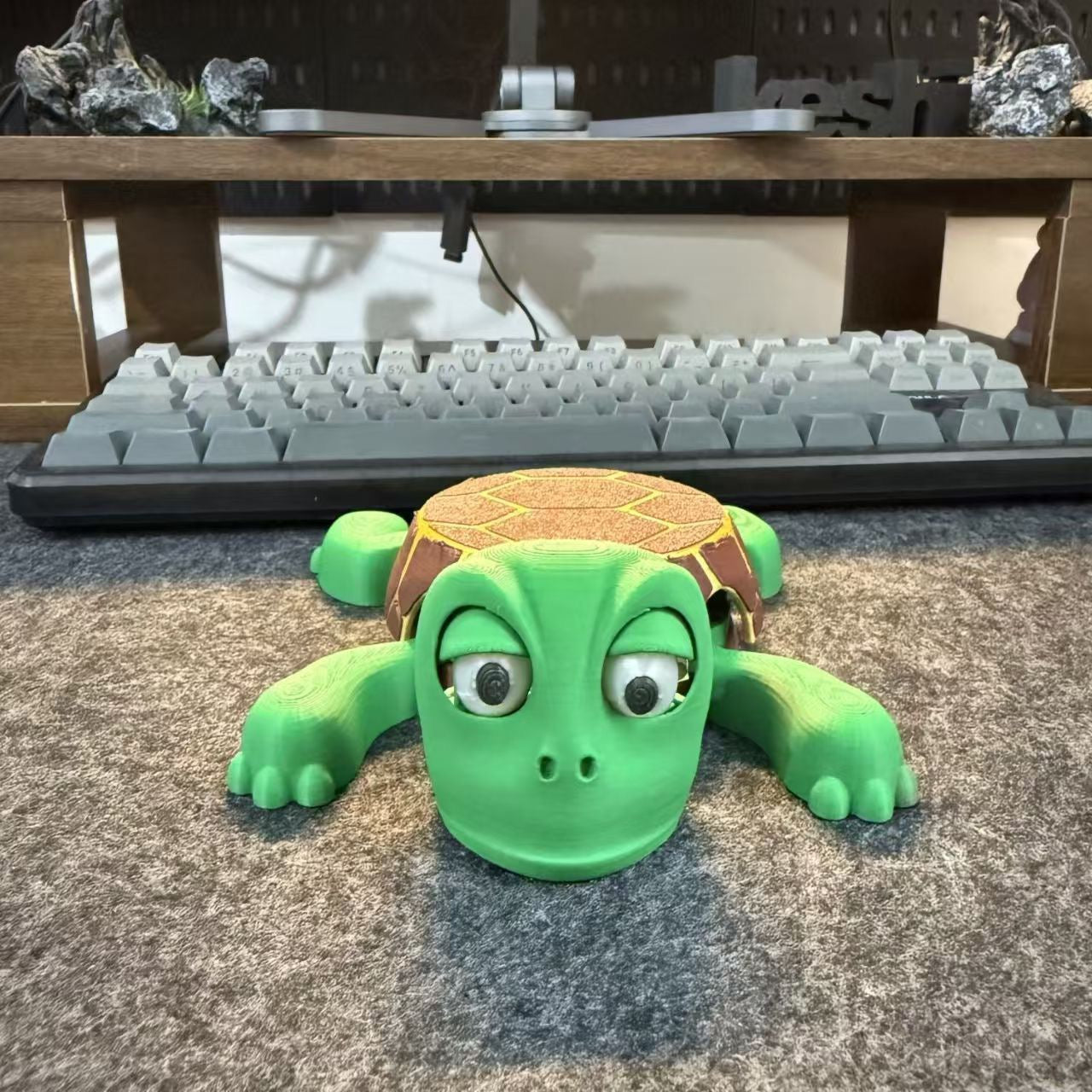 Novelty Turtle Coaster