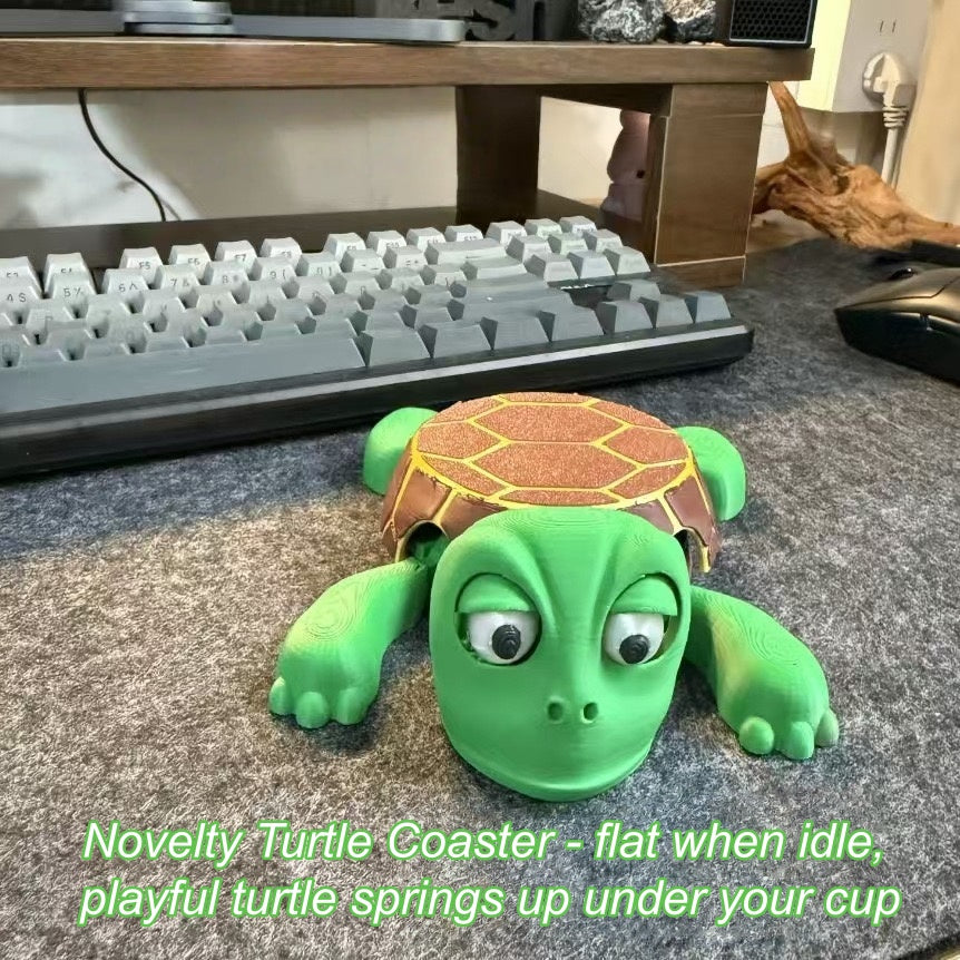 Novelty Turtle Coaster