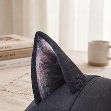 Kawaii Furry Cat Ear Baseball Cap - Y2K Streetwear & Anime Cosplay Hat